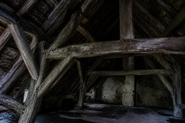 Charpente ancienne dans un comble sombre et humide